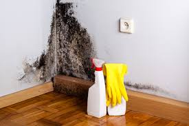 Best Mold Remediation for Healthcare Facilities  in Lovington, NM